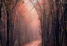 九游:欧国联赛上演大翻盘 法国点球气走格子军 葡萄牙加时胜丹麦.