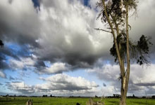 九游:樊振东退出世界杯后,现身日本!.