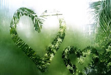 九游:生死战!曼联需欧联杯夺冠拿欧战席位 避免迎来财务噩梦.